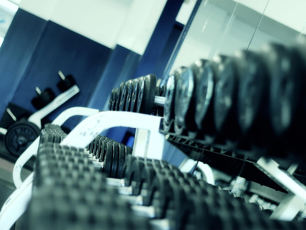 Ponte en forma